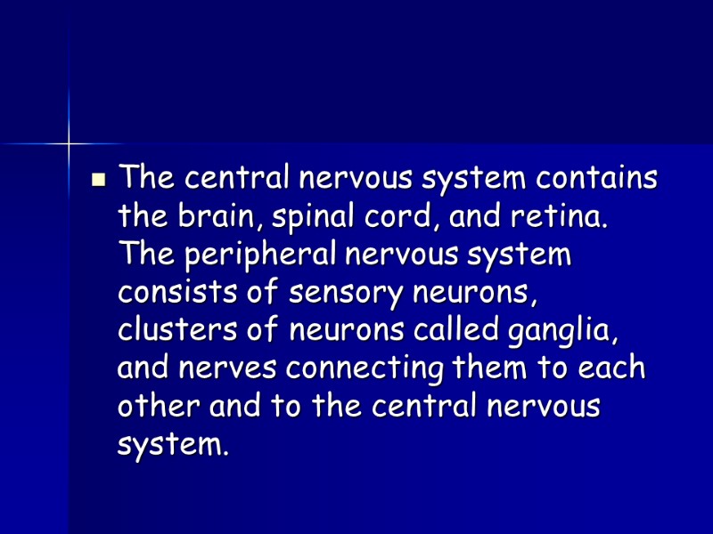 The central nervous system contains the brain, spinal cord, and retina. The peripheral nervous